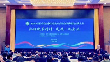 海王集团位列2024中国民营企业500强第240位，2024中国制造业民营企业500强第168位